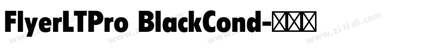 FlyerLTPro BlackCond字体转换 FlyerLTPro BlackCond字体转换